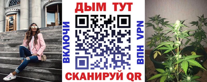 Купить наркотик Можга Бошки Шишки Меф мяу мяу Альфа ПВП ГАШ COCAIN