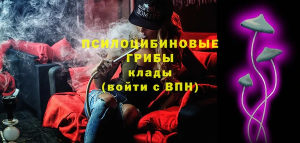 мдпв Армянск