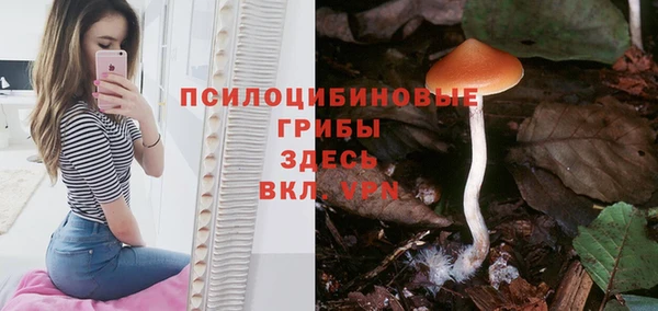 гидропоника Арсеньев