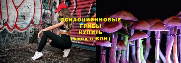 мдпв Армянск