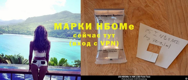 прущие грибы Аркадак