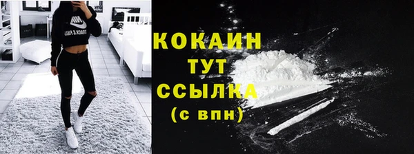 прущие грибы Аркадак