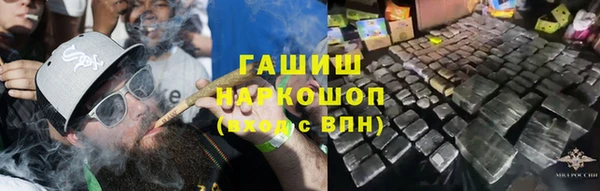 прущие грибы Аркадак